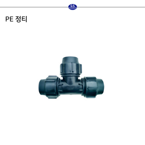 PE 정티