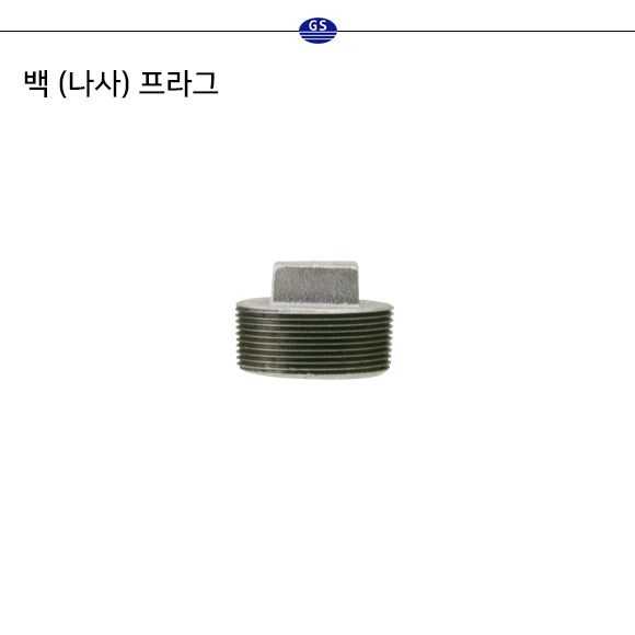 백 (나사) 프라그