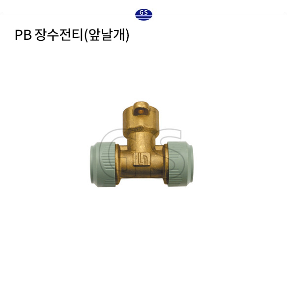 PB 장수전티 (앞날개)