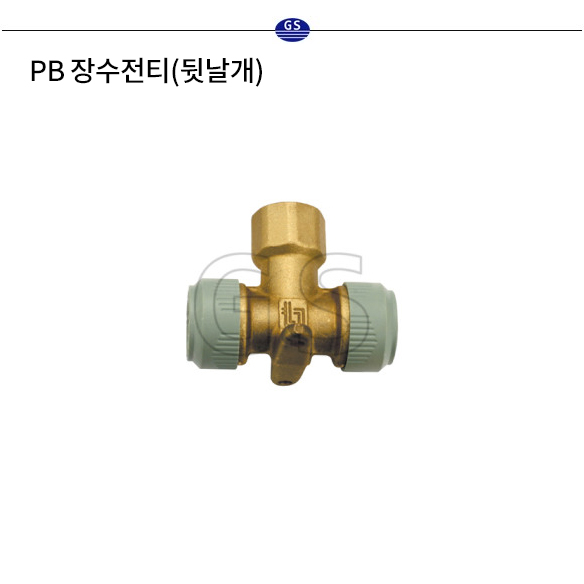 PB 장수전티 (뒷날개)